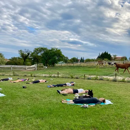 Tenger-szem Panzio Es Lovasudvar B&B 4*