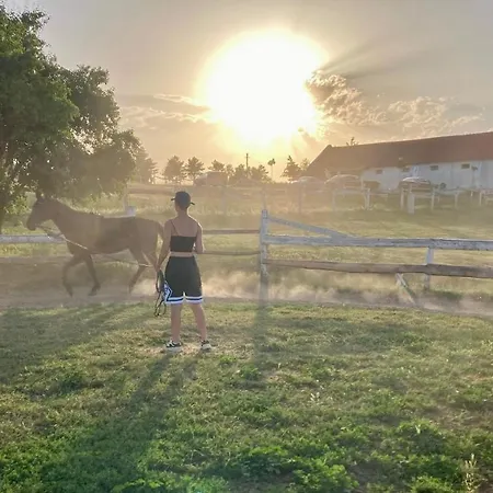 B&B Tenger-szem Panzio Es Lovasudvar