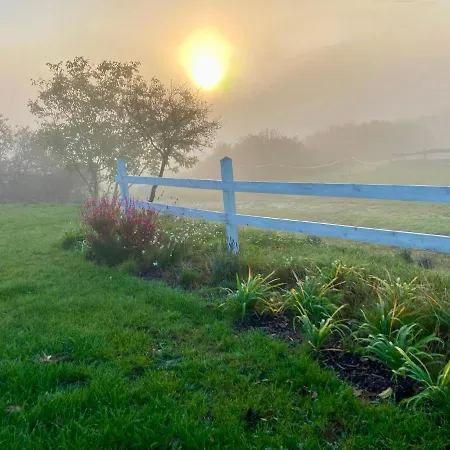 Tenger-szem Panzio Es Lovasudvar B&B