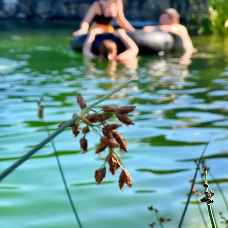Alojamento de Acomodação e Pequeno-almoço Tenger-szem Panzio Es Lovasudvar Zánka