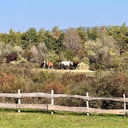 Alojamento de Acomodação e Pequeno-almoço Tenger-szem Panzio Es Lovasudvar 4*