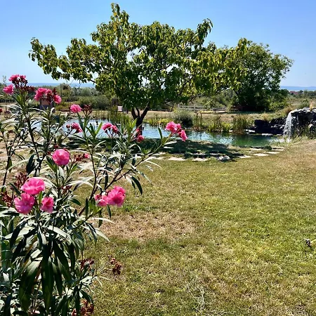 B&B Tenger-szem Panzio Es Lovasudvar