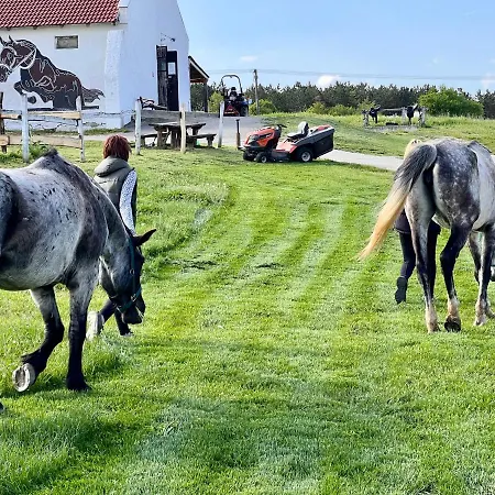 Tenger-szem Panzio Es Lovasudvar