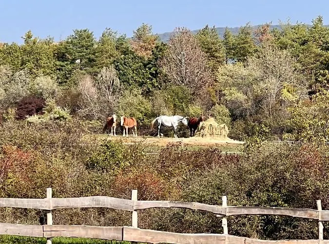 לינה וארוחת בוקר Tenger-szem Panzio Es Lovasudvar 4*