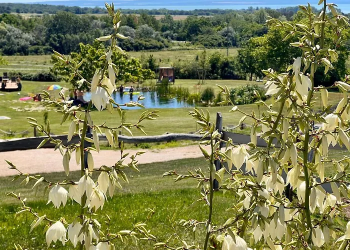 Tenger-szem Panzio Es Lovasudvar Zanka