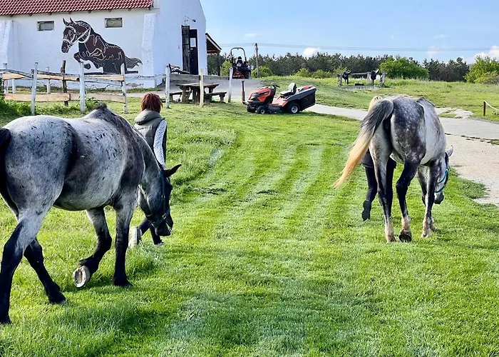 Tenger-szem Panzio Es Lovasudvar