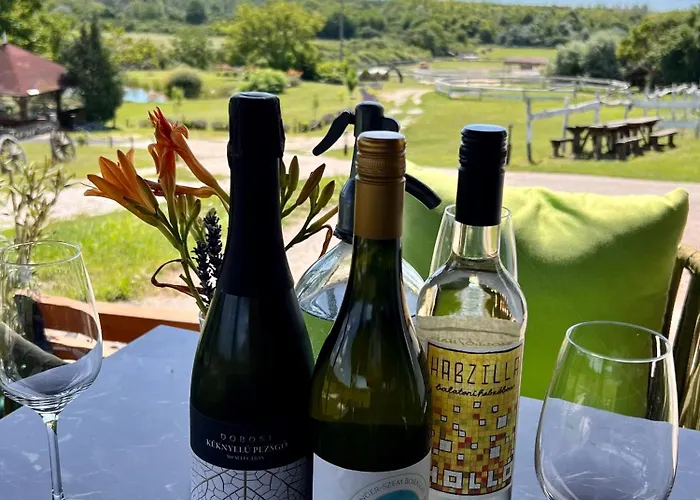 Tenger-szem Panzio Es Lovasudvar Отель типа 